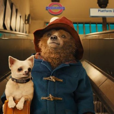 《帕丁顿熊3》宣布定档 小熊回归家乡冒险
