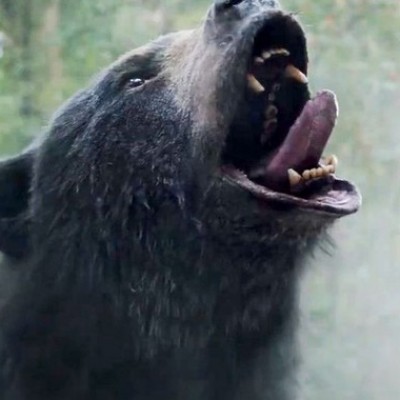 《可卡因熊》发布电视预告 重量级威胁来袭