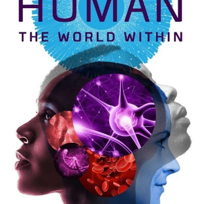 [电视剧][人类：体内的世界 Human: The World Within][全06集][英语中字]1080p|4k高清