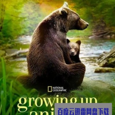 2021自然纪录片《动物成长》全6集.HD1080P.英语中字1080p|4k高清