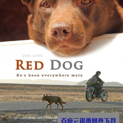 《红犬历险记》1080p|4k高清