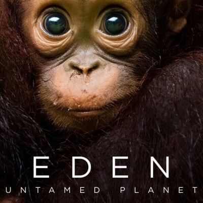 [电视剧][伊甸园：最后的秘境 Eden: Untamed Planet 第一季][全6集]1080p|4k高清