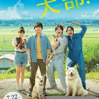 2021日本剧情《犬部！》HD720P.日语中字1080p|4k高清