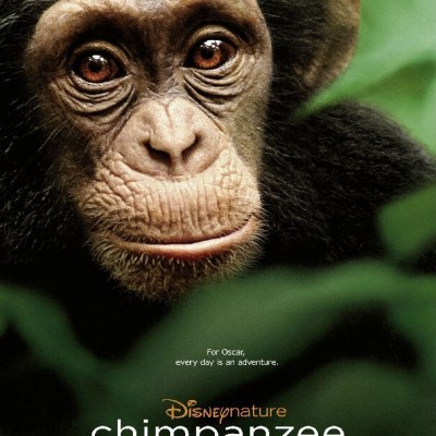 [电影]《黑猩猩》1080p|4k高清