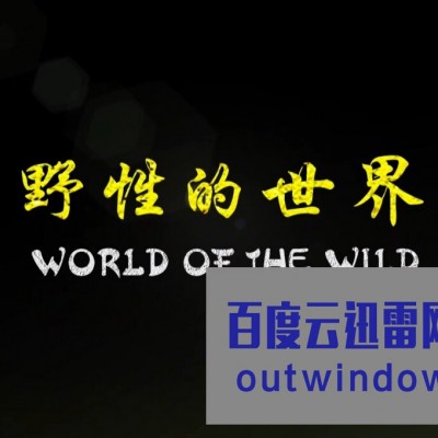 《野性的世界》1080p|4k高清