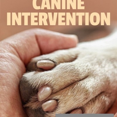 [电视剧][驯犬师/犬类干预/Canine Intervention][全06集]1080p|4k高清