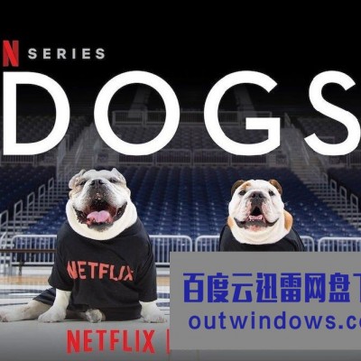 [电视剧][爱犬情深/挚狗伴我行 Dogs 第二季][全06集][英语中字]1080p|4k高清