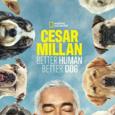 [电视剧][Cesar Millan: Better Human Better Dog 第一季][全集]1080p|4k高清