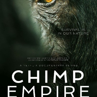[电视剧][黑猩猩帝国 Chimp Empire 第一季][全04集][英语中字]1080p|4k高清