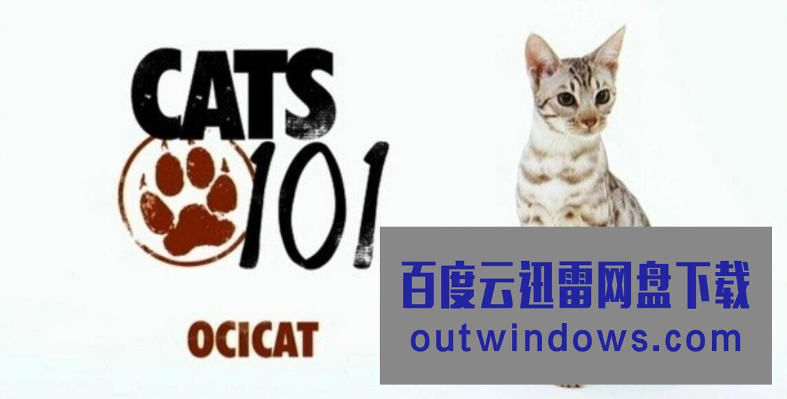 [电视剧]动物星球《猫咪101 Cats 101》全集下载 第1-4季 英语中字 标清1080p|4k高清
